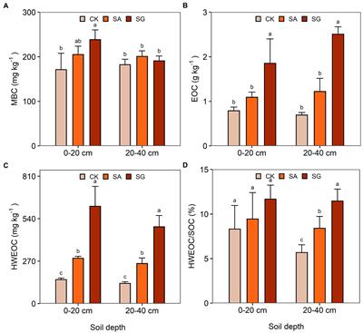 Linking between soil properties, bacterial communities, enzyme activities, and soil organic carbon mineralization under ecological restoration in an alpine degraded grassland